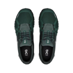 ON Cloud 6 'Evergreen' - Image 3